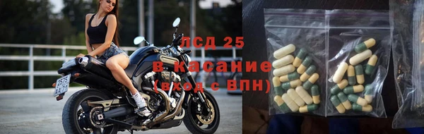 крисы Алексин