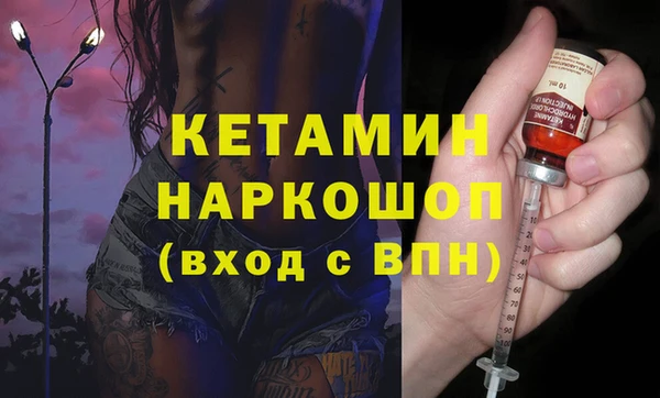 крисы Алексин